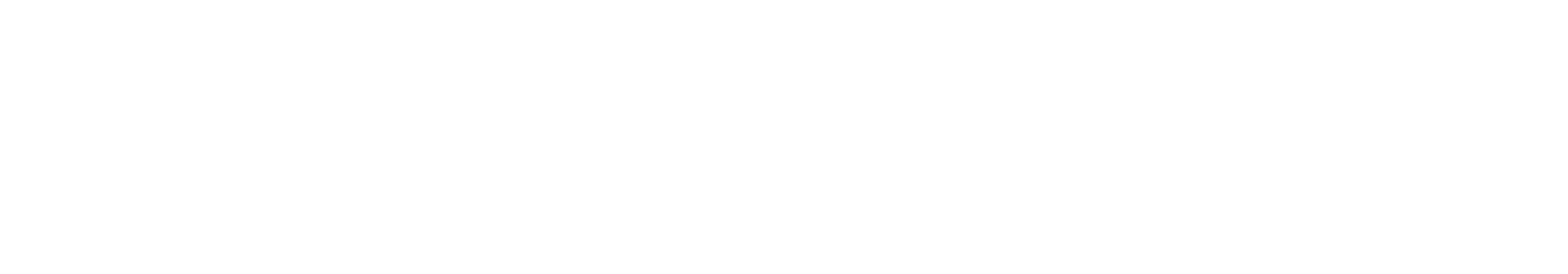 MEDINERVE